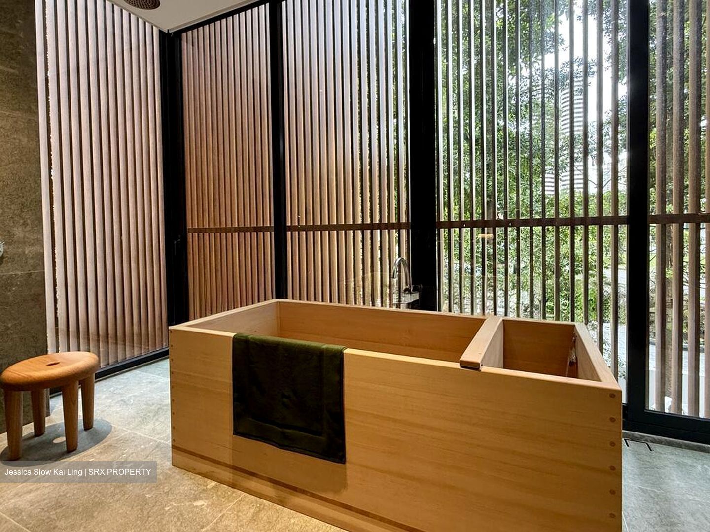 21 Anderson (D10), Condominium #517249081